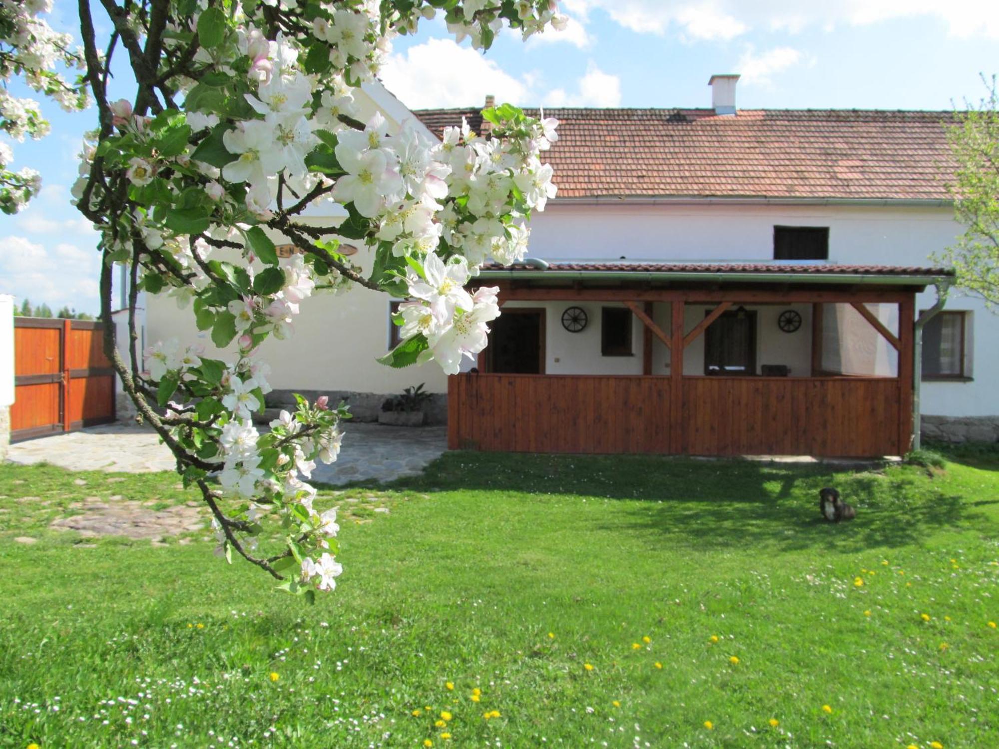 Pension Otevek Trhove Sviny Exterior photo